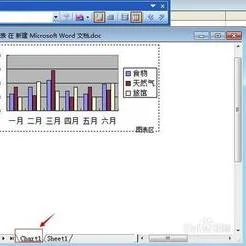 wps如何插入多个数据