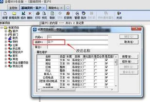 金蝶自定义报表核算项目