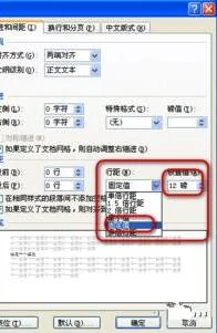 wps表格如何不显示文字