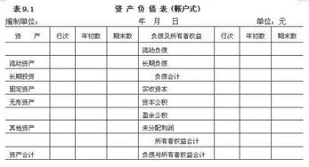 金蝶专业版资产负债表打印格式A4