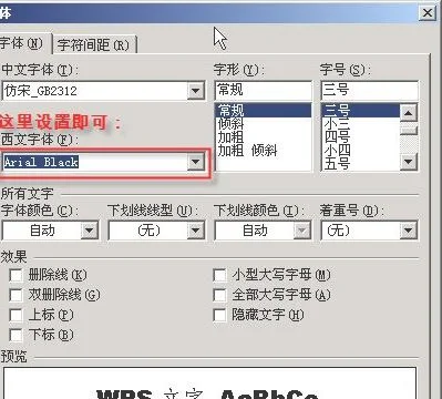 如何将wps里的数字和字母变换字体