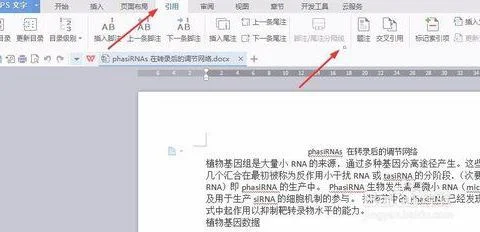 wps如何在word插入参考文献尾注