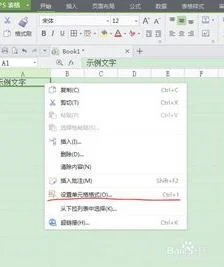 wps表格里如何设置文字竖排