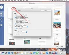 mac版wps编辑 | 苹果电脑编辑word