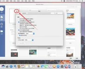 mac版wps编辑 | 苹果电脑编辑word和excel,ppt?