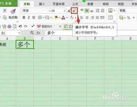 WPS表格如何将字体调整到100