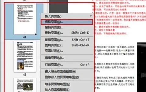 wps将PDF存成单独存一页 | WPS文字打开PDF后将其中一页保存下来