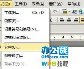 wps文本分栏 | 在word或wps中分栏