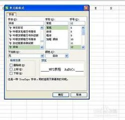 wps表格如何上标字符