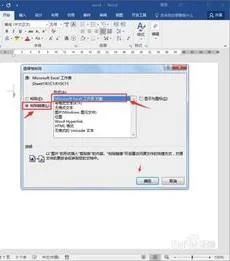 wps如何word导入excel表格格式