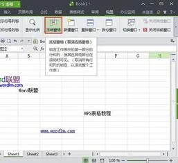 锁定WPS表格部分行 | 在wps表格中