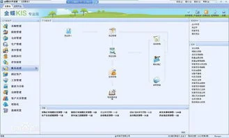 金蝶kis专业版互斥