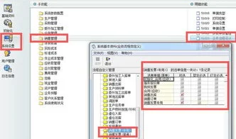 金蝶旗舰版下推只有普通发票