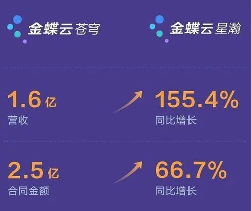 金蝶国际报表分析 | 金蝶KIS的产品