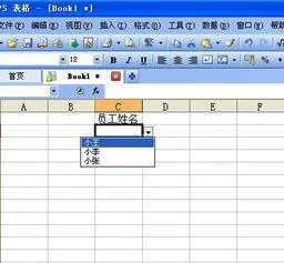 wps如何将excel选择题