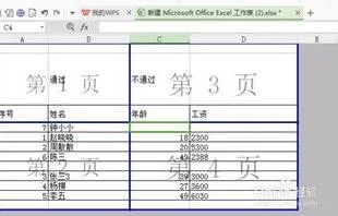 如何把wps文档表格分页符