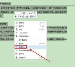 wps段落间添加空行 | WPS文档段落