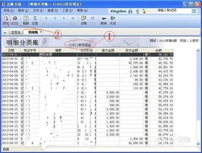 金蝶明细分类账打印科目名称 | 金