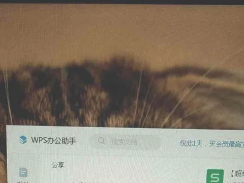 删除wps的分享记录 | wps表格取消