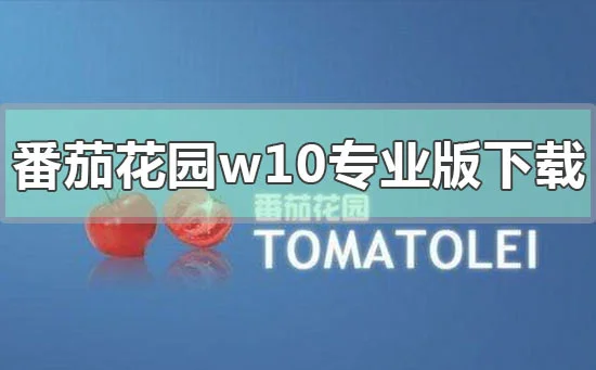 番茄花园win10专业版下载地址安装