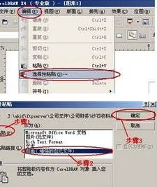 把wps表格置入cdr | 把wps里做到表