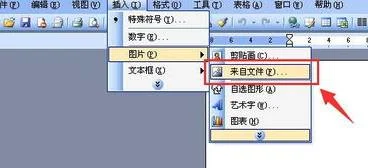 wps将文档放进word | 将WPS转换成Word?