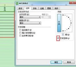 WPS表格中竖写字 | wps表格里面文