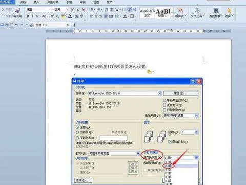 wps设置A4纵向分两栏 | 把A4的word