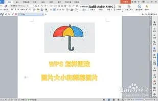 如何快速用wps裁剪大小