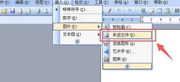 wps如何将文档放进word