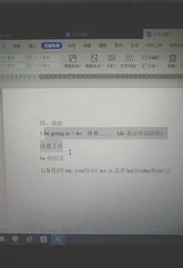 wps中如何只选择单侧文字