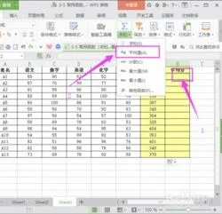 wps表格如何求和求平均值