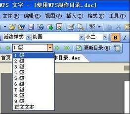 wps根据字体颜色自动生成文字 | wp