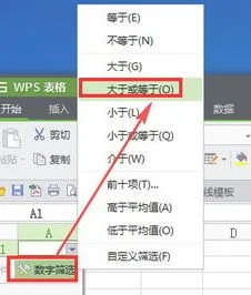 wps如何筛选某一数值的数据