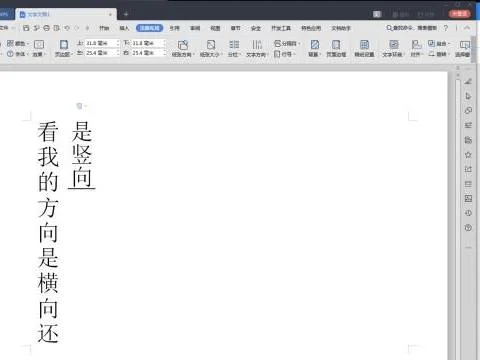 wps文字如何变横排