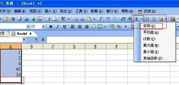 用wps如何求和
