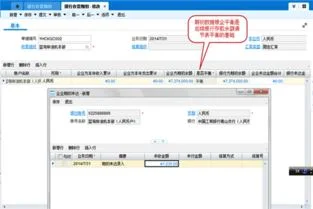 出纳,金蝶,录入,提示