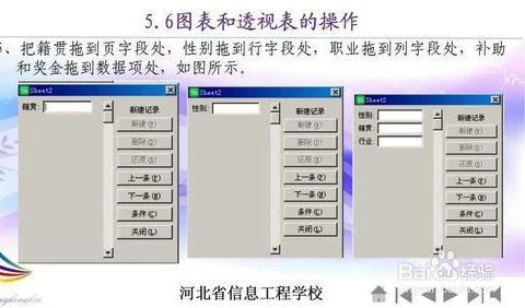 wps下透视表显示隐藏 | Excel数据