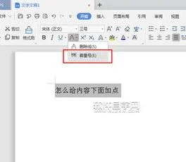 wps加重点 | 在WORD文档中在文字下面加着重点该做