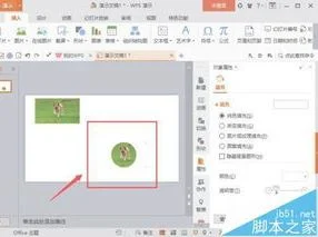 wps中如何设置照片形状
