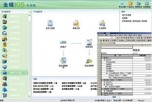 金蝶系统运行情况总结