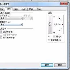 wps如何让表格里的字全显示不出来