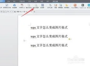 电脑wps文字扫描 | WPS文档中使用