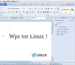 安装ubuntu装上wps | 在linux系统