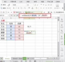 wps表格如何计数统计