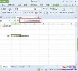 wps表格中如何输入长数字格式化