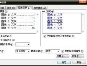 wps生成图和图清单 | wpsword制作图表目录