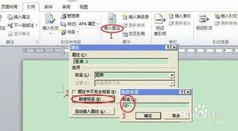 wps中自动编排多少条 | wps演示中