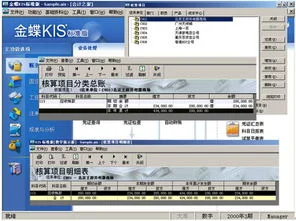 金蝶核算项目利润表