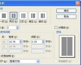 wps页面中如何设置部分分栏